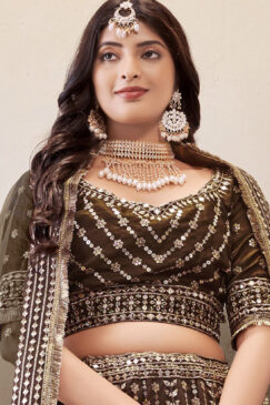 Alternative view of Brown Embroidered Net Lehenga Choli