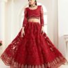 Red Embroidered Net Bridal Lehenga Choli