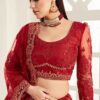 Red Embroidered Net Bridal Lehenga Choli