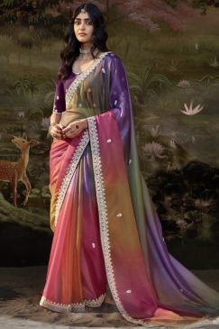 Multi Coloured Embroidered Wedding Saree