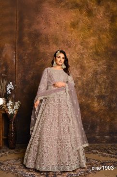 Beautiful Net Fabric Anarkali Dress with Embroidery work