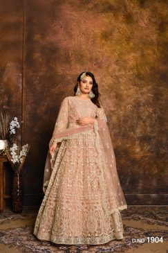 Beautiful Net Fabric Anarkali Dress with Embroidery work