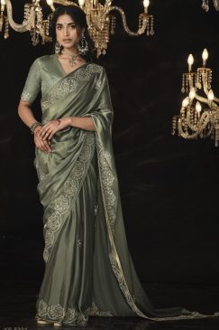 Khaki Fancy Embroidered Wedding Saree
