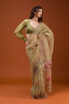 Beautiful Soft Tabby Organza Saree