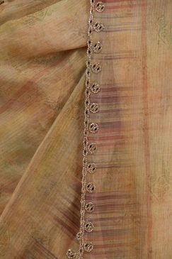 Alternative view of Beautiful Soft Tabby Organza Saree