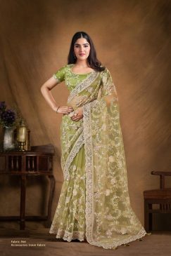 Net Saree with Sequence & Cord Embroidery on Saree