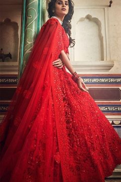 Alternative view of Red Soft Net Embroidered Lehenga Choli