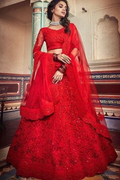 Red Soft Net Embroidered Lehenga Choli