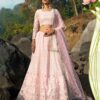 Pink Soft Net Embroidered Lehenga Choli