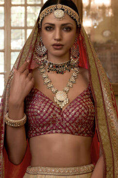 Alternative view of Red Royal Rajwadi Silk Embroidered Lehenga Choli