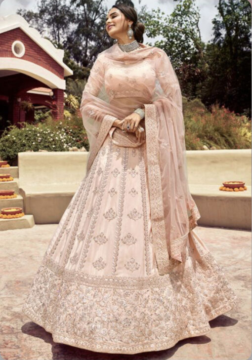 Blush Organza Party Wear Lehenga Choli
