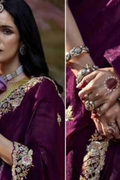 Alternative view of Dark Wine Coloured Embroidered Wedding Saree