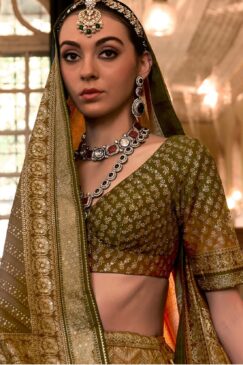 Alternative view of Brown Royal Rajwadi Silk Embroidered Lehenga Choli