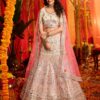 White Pure Organza Embroidered Lehenga Choli