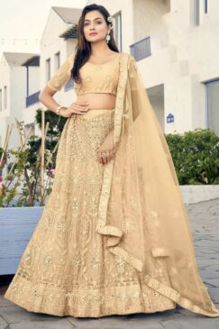 Beige Embroidered Net Party Wear Lehenga Choli