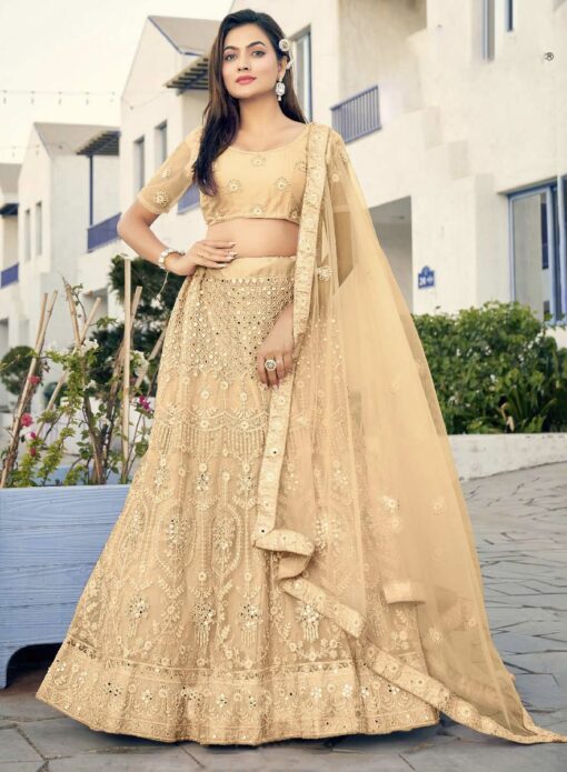 Beige Embroidered Net Party Wear Lehenga Choli