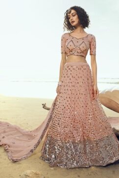 Peach Soft Net Sequinned Lehenga Choli