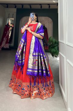 Alternative view of Jacquard Silk Paithani Dress Embodies Timeless Elegance in Red color