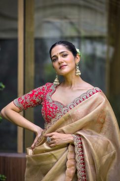 Chiku Colour Beautiful Tissue Silk Fabric saree