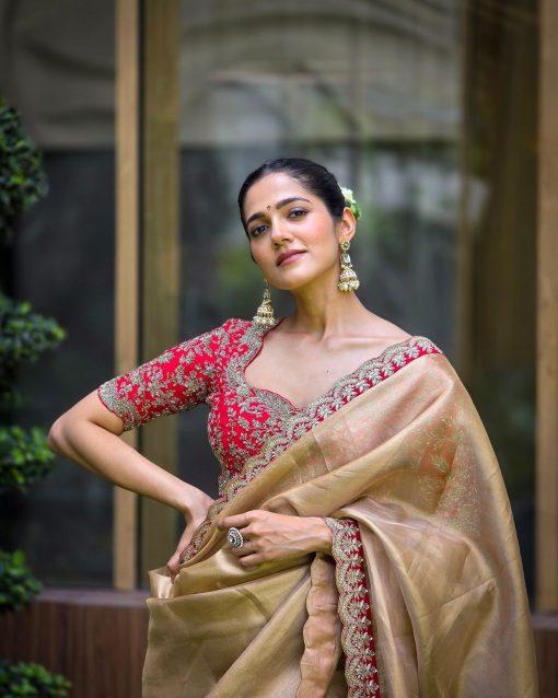 Chiku Colour Beautiful Tissue Silk Fabric saree