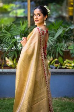 Alternative view of Chiku Colour Beautiful Tissue Silk Fabric saree
