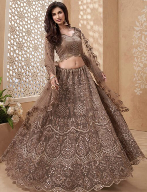Light Brown Net Lehenga Choli