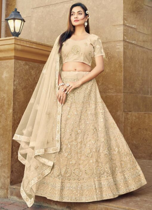 Beige Embroidered Net Party Wear Lehenga Choli