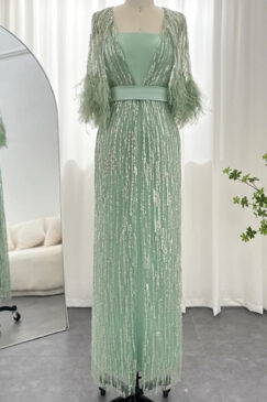 Feathered Cape Sleeve Sequinned Modest Evening Dress