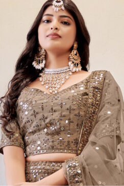Alternative view of Brown Embroidered Net Lehenga Choli