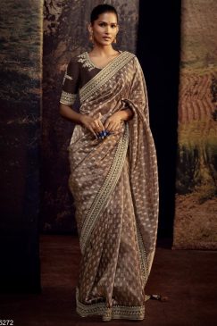 Brown Fancy Fabric Embroidered Wedding Saree