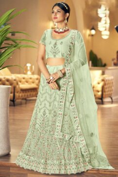 Light Green Embroidered Net Party Wear Lehenga Choli