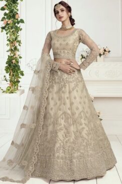 Dusty Cream Embroidered Net Bridal Lehenga Choli
