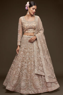 Beige Net Sangeet Bridal Lehenga Choli