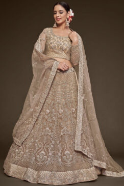 Beige Net Sangeet Bridal Lehenga Choli