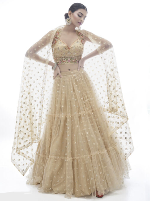 Beige Net Sangeet Lehenga Choli