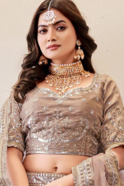 Alternative view of Beige Embroidered Net Lehenga Choli