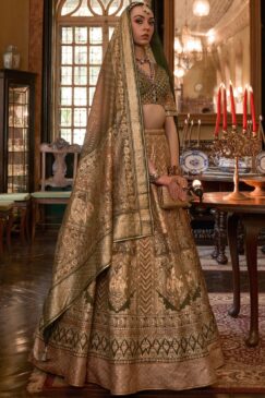 Brown Royal Rajwadi Silk Embroidered Lehenga Choli