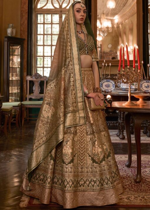 Brown Royal Rajwadi Silk Embroidered Lehenga Choli
