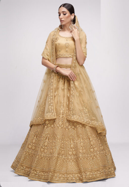 Chikoo Net Bridal Lehenga Choli
