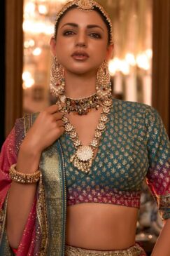 Alternative view of Multicolour Royal Rajwadi Silk Embroidered Lehenga Choli