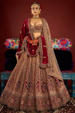 Royal Chiku Velvet Embroidered Bridal Lehenga Choli