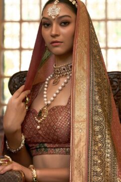 Alternative view of Brown Royal Rajwadi Silk Embroidered Lehenga Choli