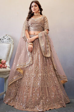 Beige Embroidered Net Lehenga Choli