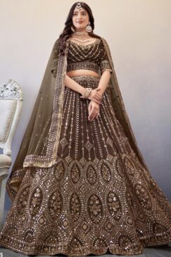 Brown Embroidered Net Lehenga Choli