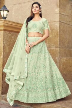 Light Green Embroidered Net Party Wear Lehenga Choli