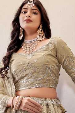 Alternative view of Beige Yellow Embroidered Net Lehenga Choli
