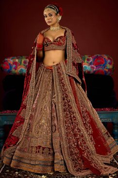 Royal Chiku Velvet Embroidered Bridal Lehenga Choli