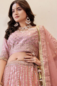 Alternative view of Peach Embroidered Net Lehenga Choli