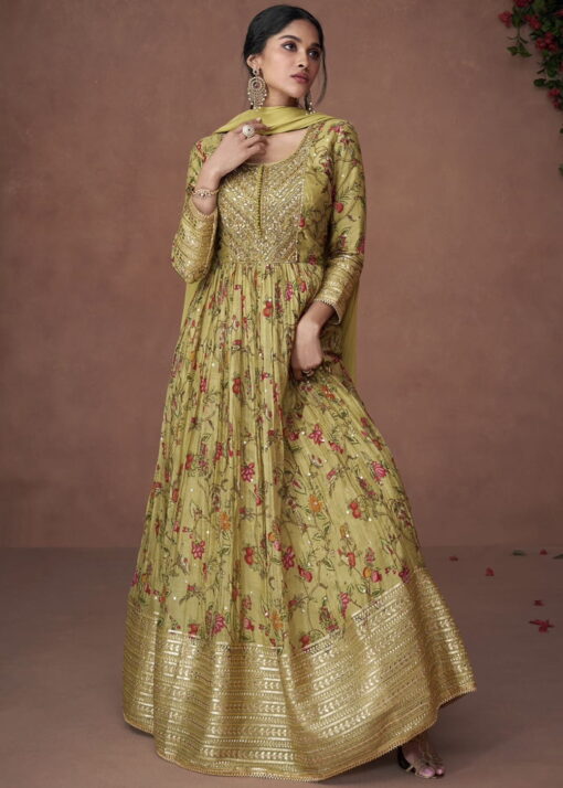 Light Green Organza Silk Anarkali Gown