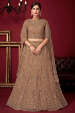 Brown Net Party Wear Lehenga Choli